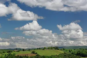 Viewed: Vineyard viewed from Monteriggioni, Tuscany