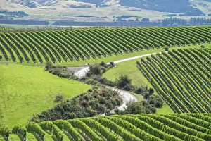 Marlborough: Vineyards, Marlborough Region, South Island, New