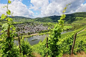 Mosel: Vineyards on the Moselle, excursion boat, Panderich