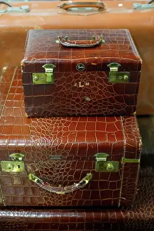 Vintage: Vintage alligator skin luggage