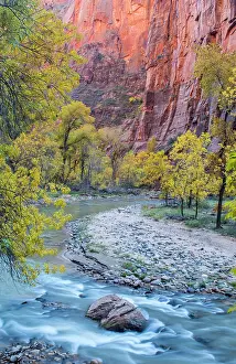 Zion: The Virgin River in autumn in Zion National