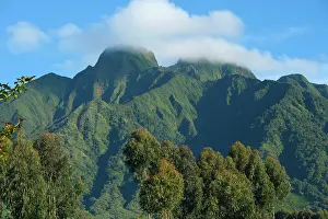 Virunga: Virunga Mountains Volcanoes National Park
