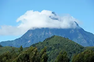 Virunga: Virunga Mountains Volcanoes National Park