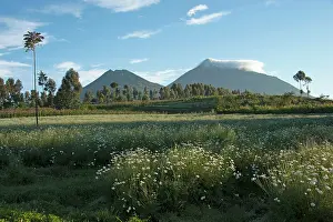 Virunga: Virunga Mountains Volcanoes National Park - garden