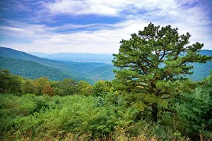 Vista: Vista, Shenandoah, Blue Ridge Parkway, Smoky Mountains, USA