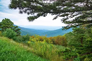 Vista: Vista, Shenandoah, Blue Ridge Parkway, Smoky Mountains, USA