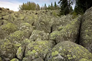 Periglacial: Vitosha stone river - (also called stone run -