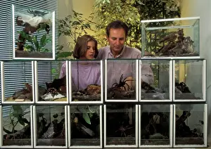 Tarantulas: Vivarium / Terrariums - Man and girl observing