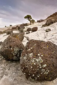Fossilised: Volcanic boulders