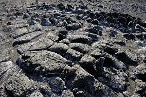 Outcrops: Volcanic rocks close-up