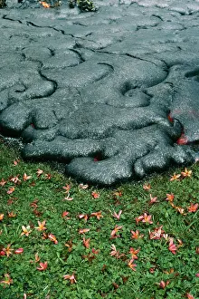 Damage: VOLCANO - lava flowing through garden