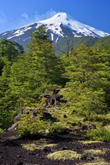 Smoking: Volcano Villarrica - snow covered and smoking volcano