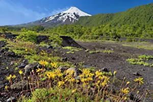 Smoking: Volcano Villarrica - snow covered and smoking volcano