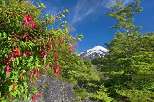 Smoking: Volcano Villarrica - snow covered and smoking volcano