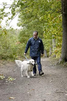 Daily: Volunteer ASPCA daily walking a golden retriever
