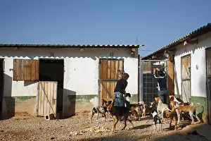 Lost: Volunteer at a shelter that collects mistreated dog Spain