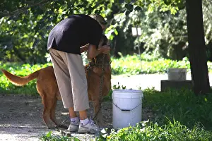 Promenade: Volunteer walking with dog into a refuge SPA