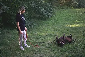 Promenade: Volunteer walking with a dog from a refuge SPA