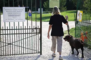 Railing: Volunteer walking with a dog from a refuge SPA