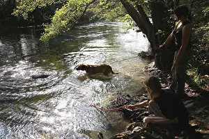 Baths: Volunteers bathing dog from a refuge SPA