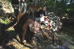 Baths: Volunteers bathing dog from a refuge SPA