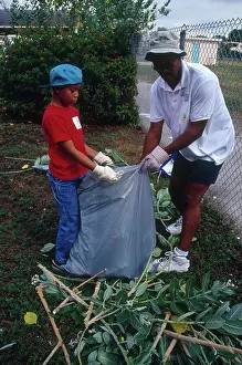 Picking: Volunteers Clean Up Miami