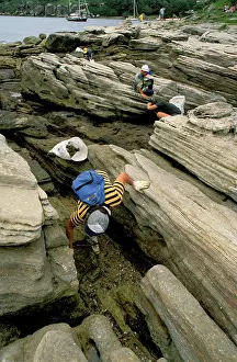 Sydney: Volunteers - Clean-Up Day Sydney Harbour