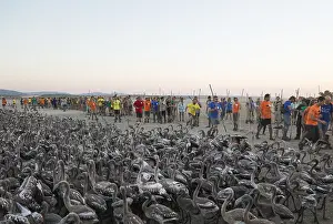 Volunteers at the Laguna de Fuente de Piedra near