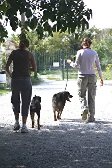 Promenade: Volunteers walking with dog from a refuge SPA
