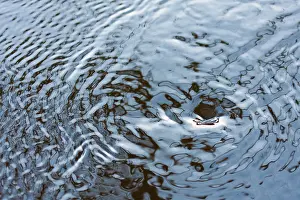 Esdorp: Vortex