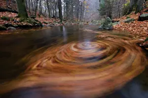 Photog: Vortex of leaves in the mountain creek Ilse, Harz