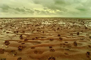 Coil: Wadden Sea - mud ripples and for the Wadden Sea typical coil