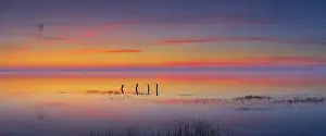 Wadden: Wadden Sea at sunset, Lower Saxony Wadden Sea National