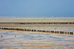Wadden: Waddensea, Holwerd, Friesland, The Netherlands