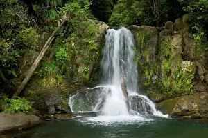 Cascading: Waiau Falls - water cascading down Waiau Falls