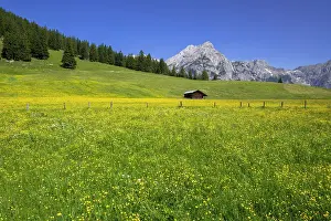 Karwendel: Walder-Alm, behind it Karwendel mountains, Gnadenwald