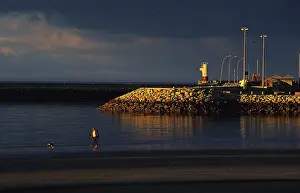 Ports: Walker and his dog on the beach of Royan France