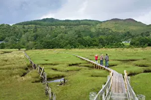 Lochs: Three walkers on a boardwalk cross a tidal wetland