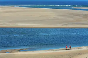 Walkers: Walkers at low tide