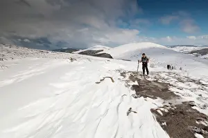 Hikers: Walkers - in snow