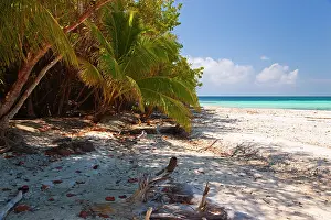Cruise: Walking along the beach on West Snake Cay