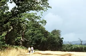 Hobbies: WALKING - Couple and dog on field edge
