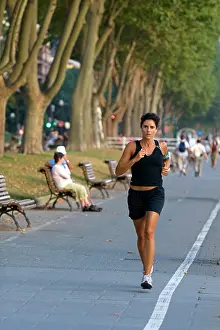 Exercise: Walking path lined with sycamore trees along