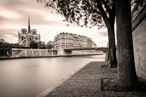 Walkway: Walkway along River Seine and Cathedral