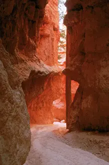 Oxide: Wall Street Trail, Bryce Canyon