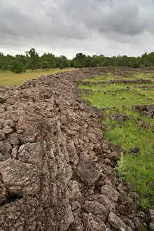 Xd6land: The walls of an old ringfort grown with vegetation