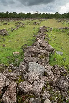 Xd6land: The walls of an old ringfort grown with vegetation