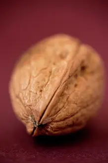 Regia: Walnut