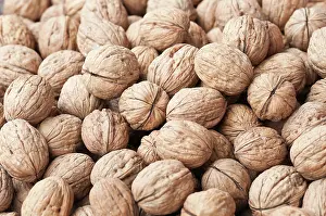 Regia: Walnut