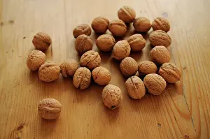 Regia: Walnut